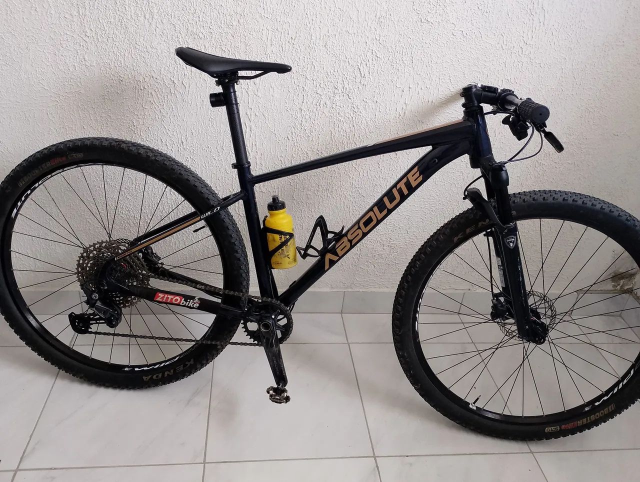 Bike absolut wild 2 29