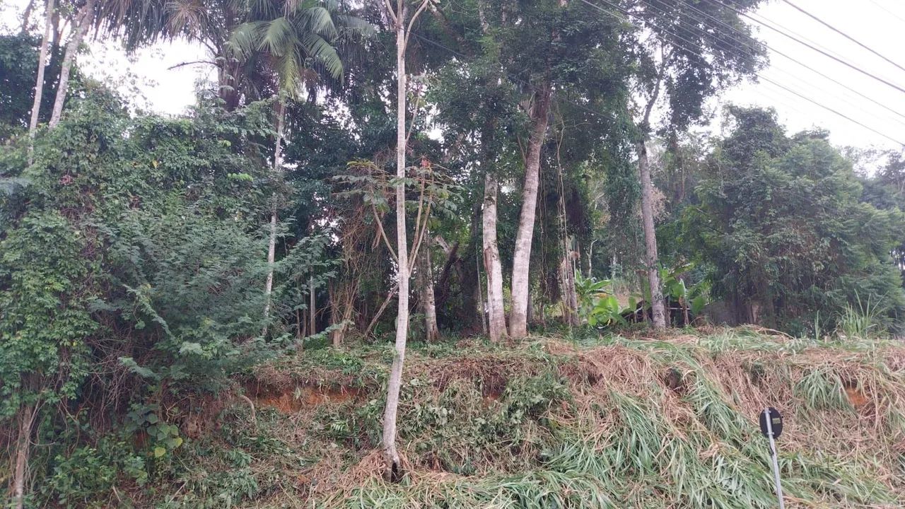 Terreno  - Foto 2