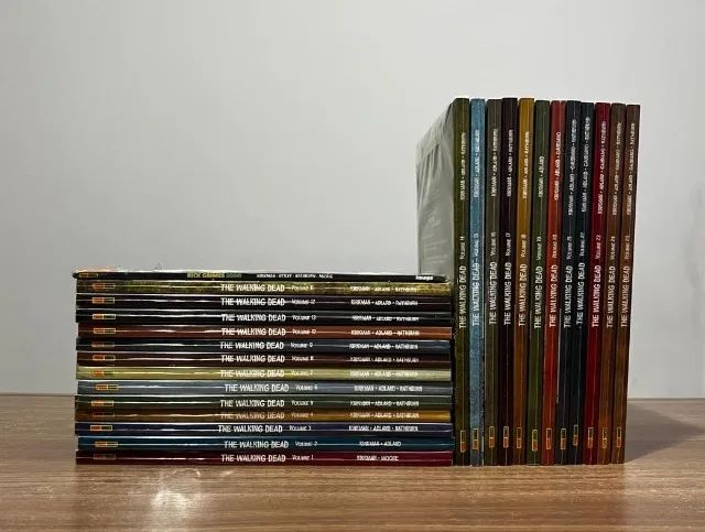 Coleção The Walking Dead Volume 1 ao 24 + 29 + Rick Grimes 2000 | HQ TWD | Panini - Foto 2