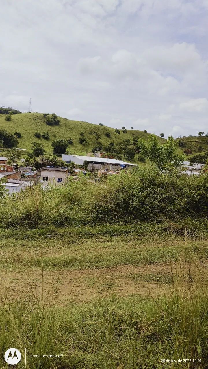 Vendo terreno no novo são Caetano  - Foto 4