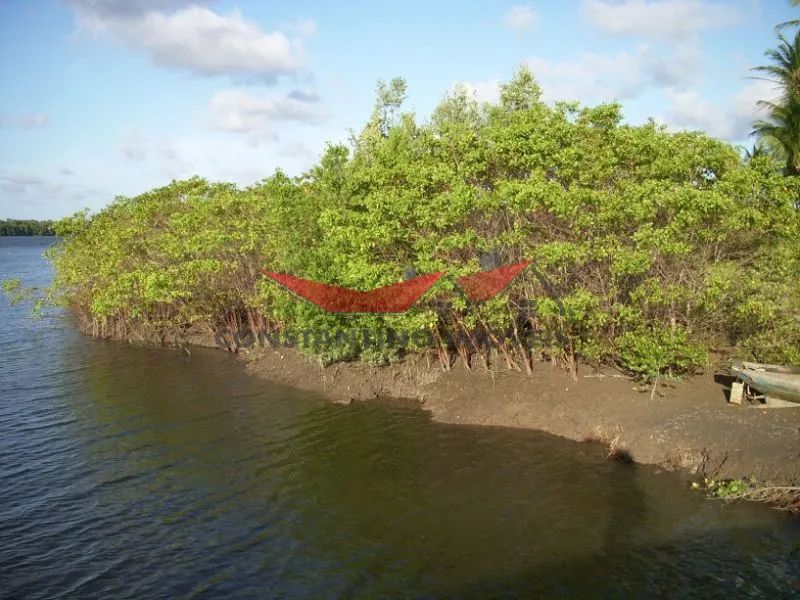 Fazenda / Sítios / Chácaras à venda em Caravelas - Foto 3