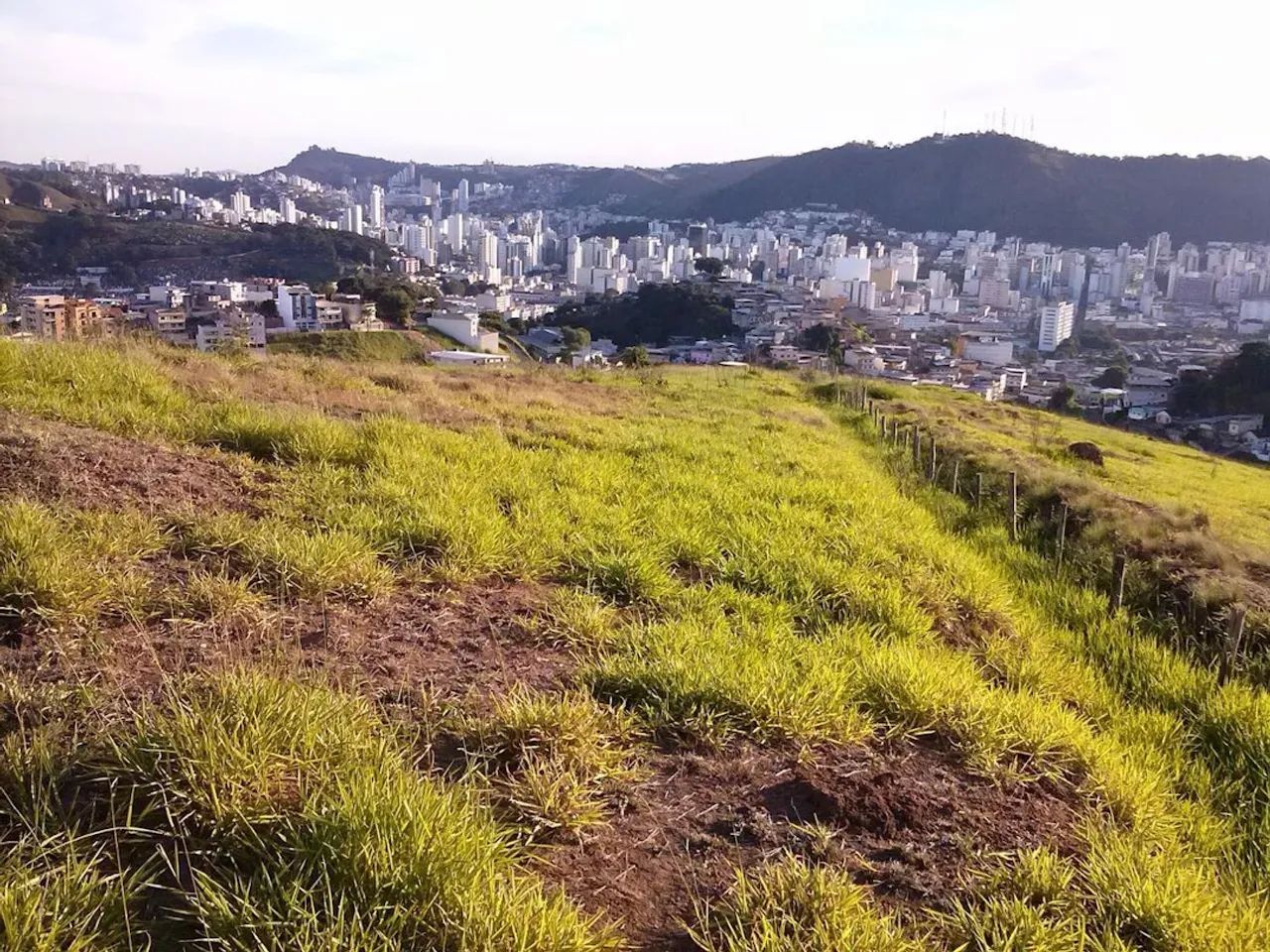 Lote / Terreno - Bosque dos Pinheiros - Foto 5