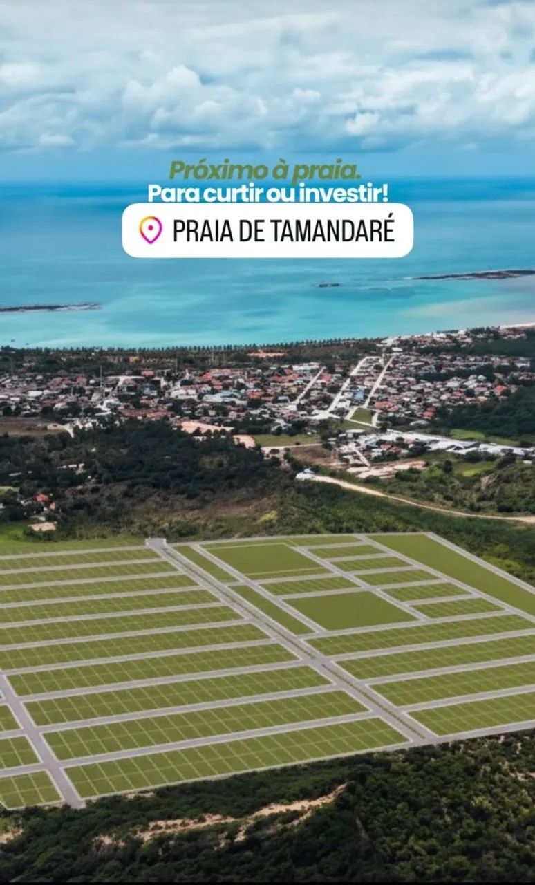 TAMANDARÉ ( Lote) 