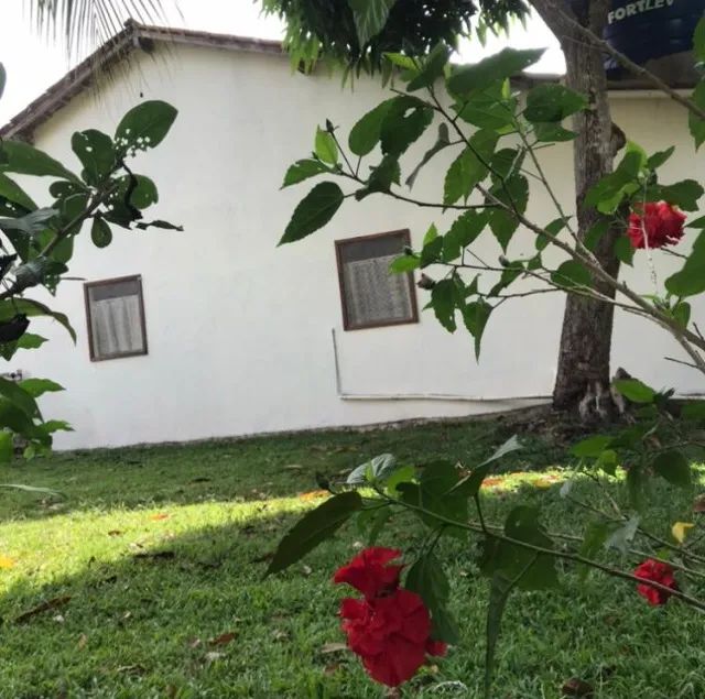 Vendo uma chácara medindo 40x250 - Foto 4
