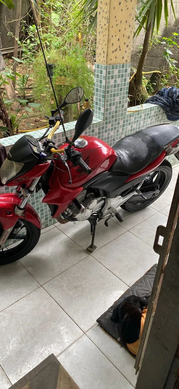 Cb 300 R flex 