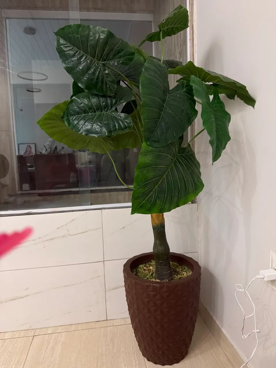Planta decorativa