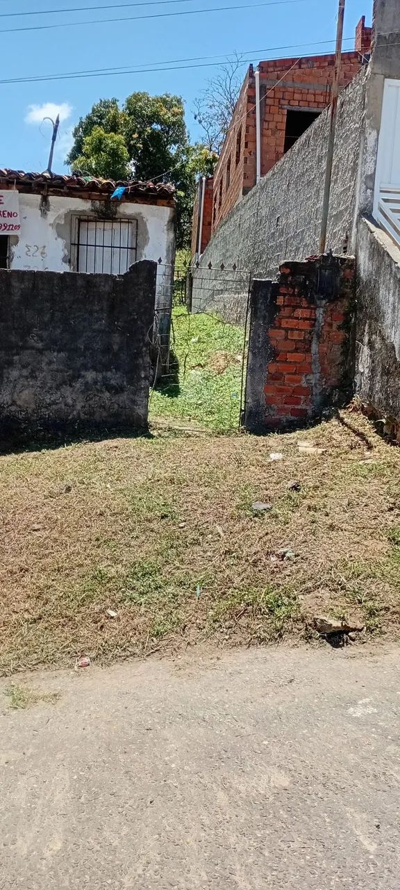 Terreno  - Foto 4