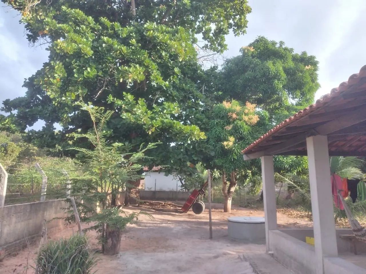 Sítio em Itapipoca/CE - Foto 2