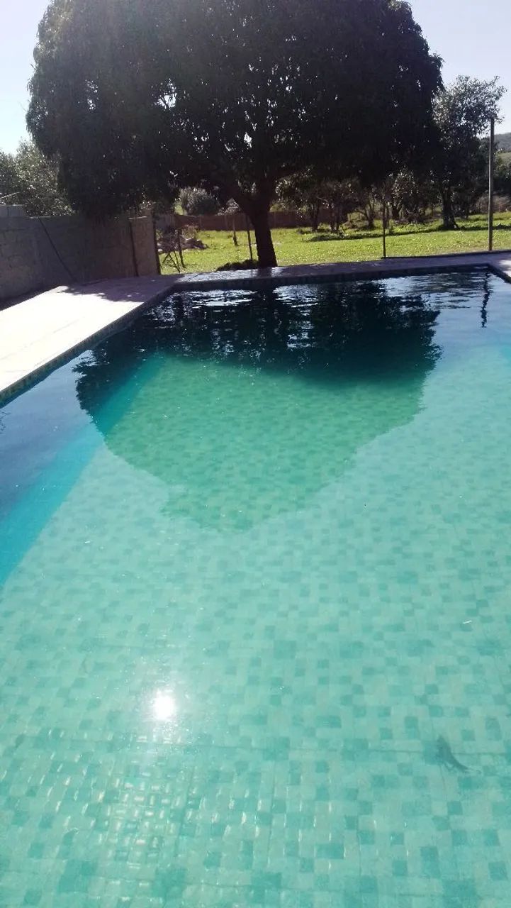 Pedreiro Profissional 