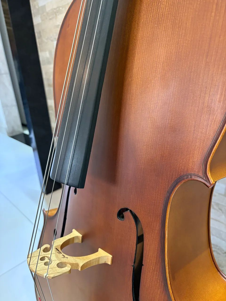 Violoncello CE-300 - Foto 5