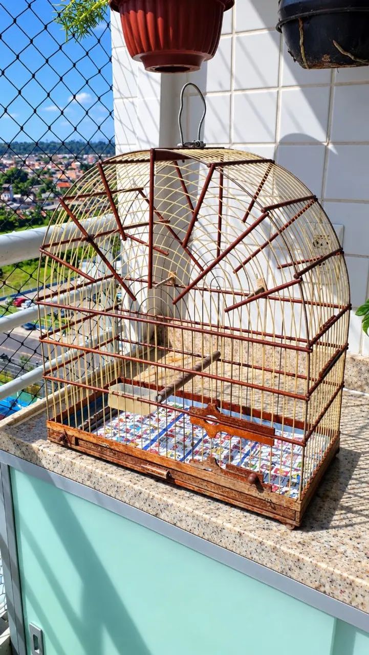 Gaiola Canário 
