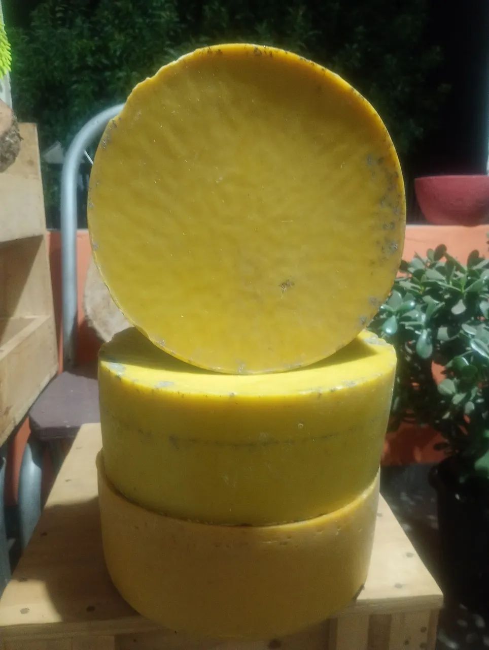 Cera de abelhas apis natural bruta  - Foto 2
