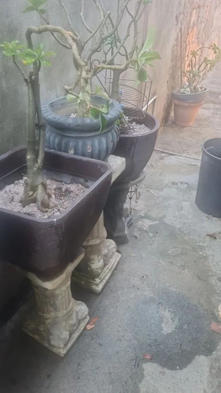 Vasos e Vidro