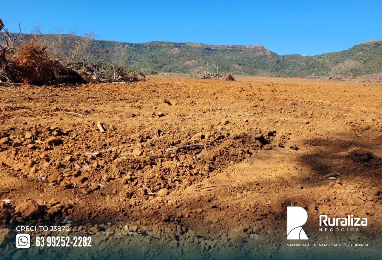 Fazenda a venda em Brejinho de Nazaré | Argilosa | Curral para 1.000 cabeças - Foto 7