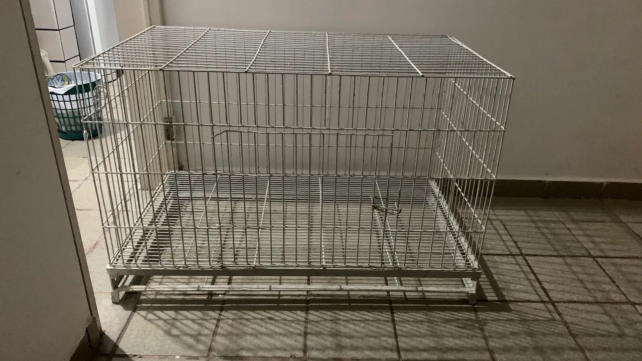 Gaiola para animais65578315231875123