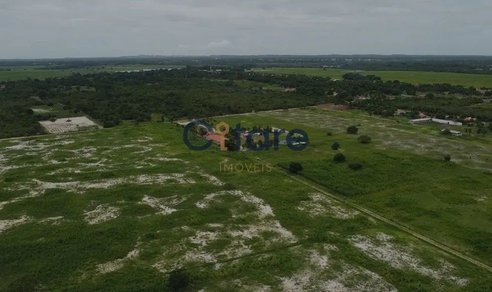 HARAS À VENDA COM 15 HECTAREA-EXCELENTE OPORTUNIDADE - Foto 5