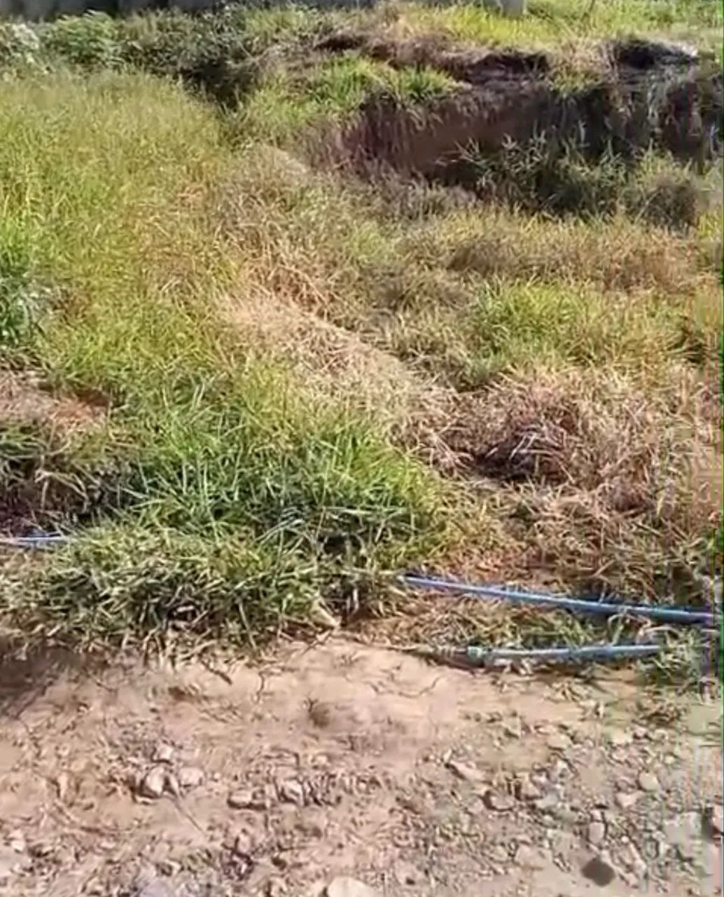 Terreno 5x20 m2 - Foto 3