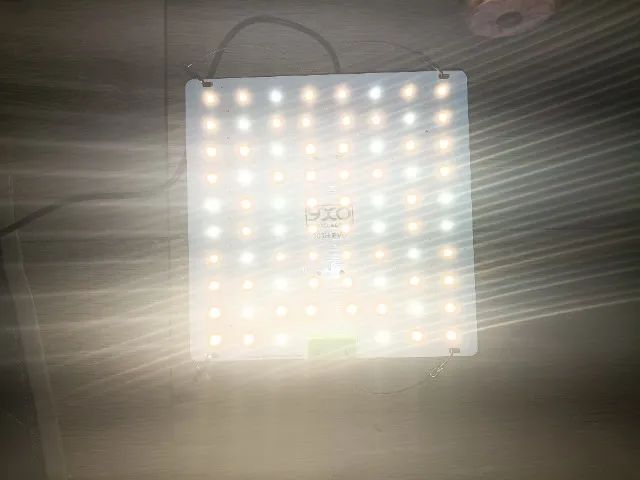 Led - Foto 2