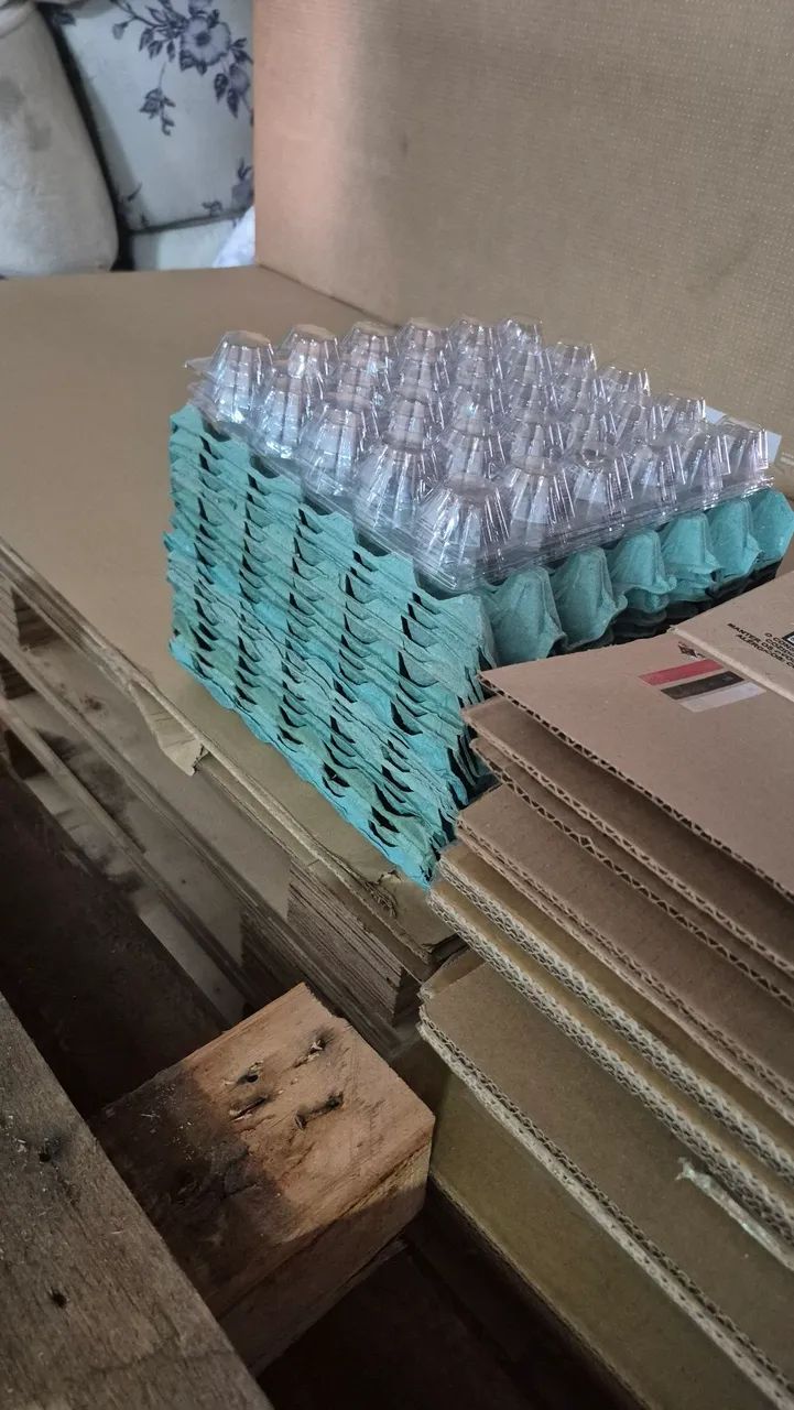 Cartelas de ovos a pronta entrega, 2.00 reais cada, entregamos com taxa de entrega. - Foto 2