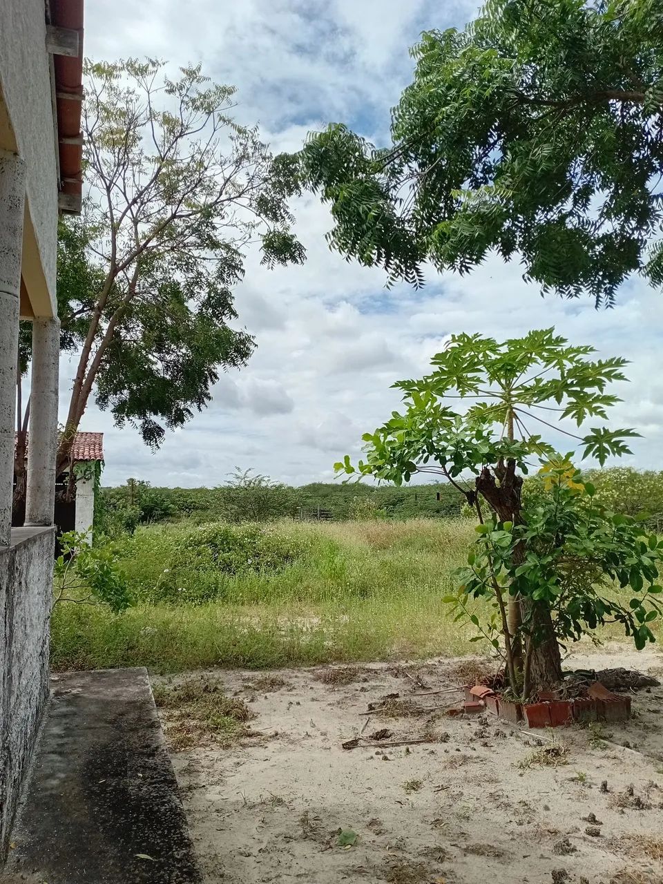 Vendo propriedade com 35 hectares  - Foto 3