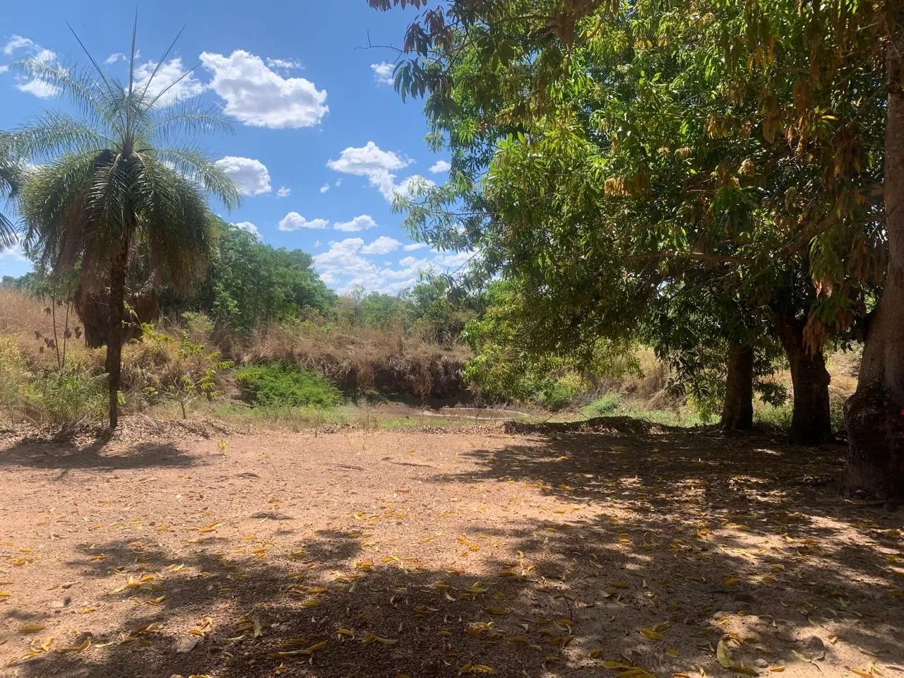 OPORTUNIDADE CHÁCARA A VENDA EM PIUM-TO - Foto 3