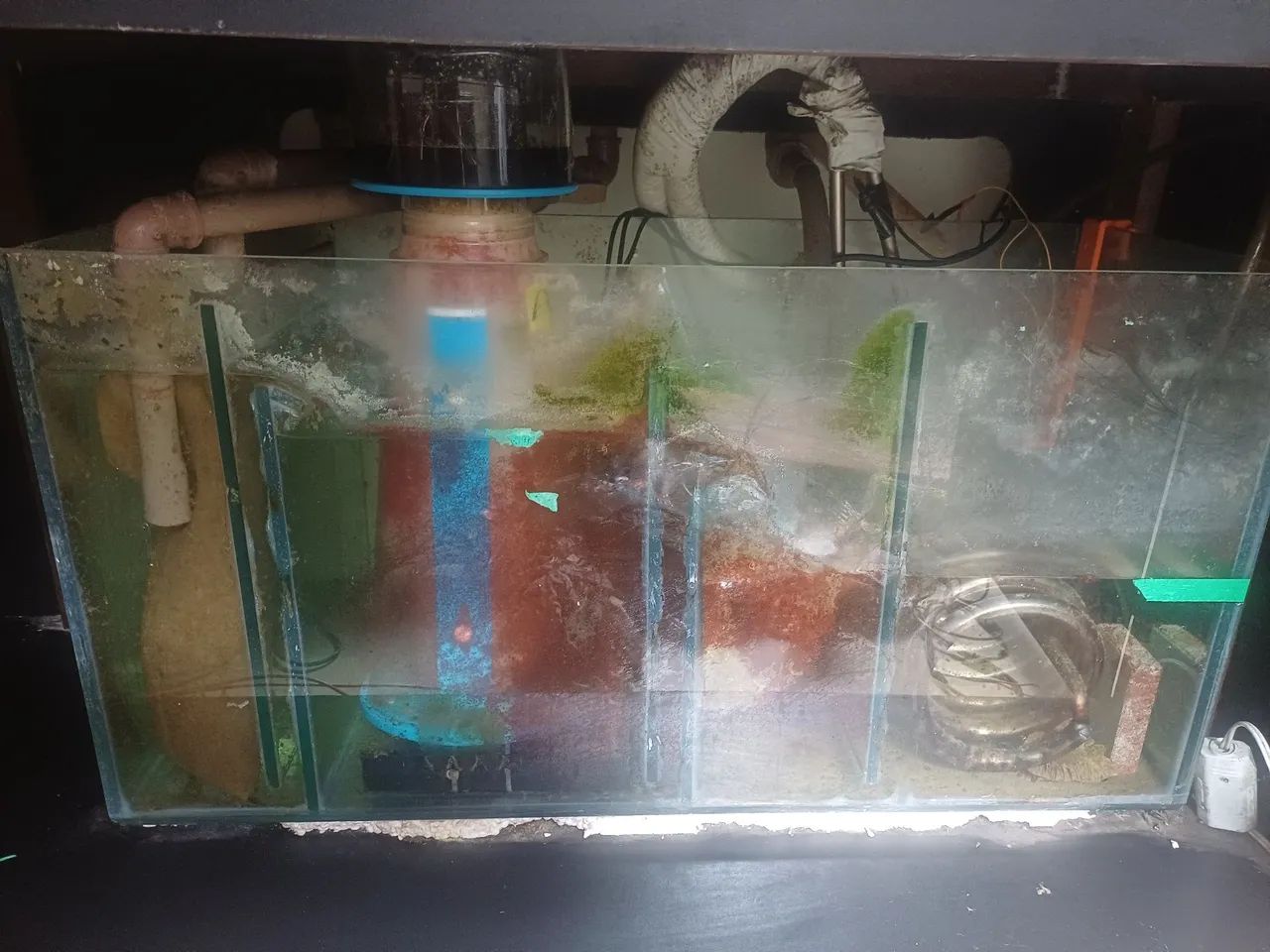 Aquário completo 450l!  - Foto 3