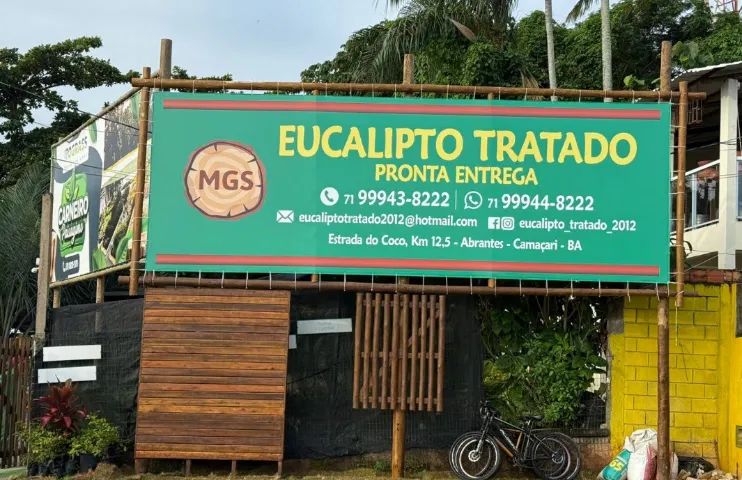 Eucalipto Tratado Direto de Fábrica | Estacas a partir de R$ 14 | Entrega Imediata - Foto 3