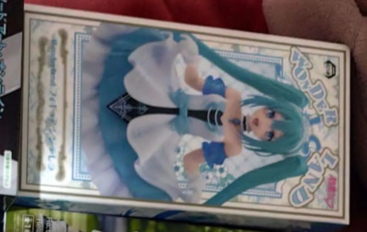 Hatsune Miku Wonderland  - Foto 3