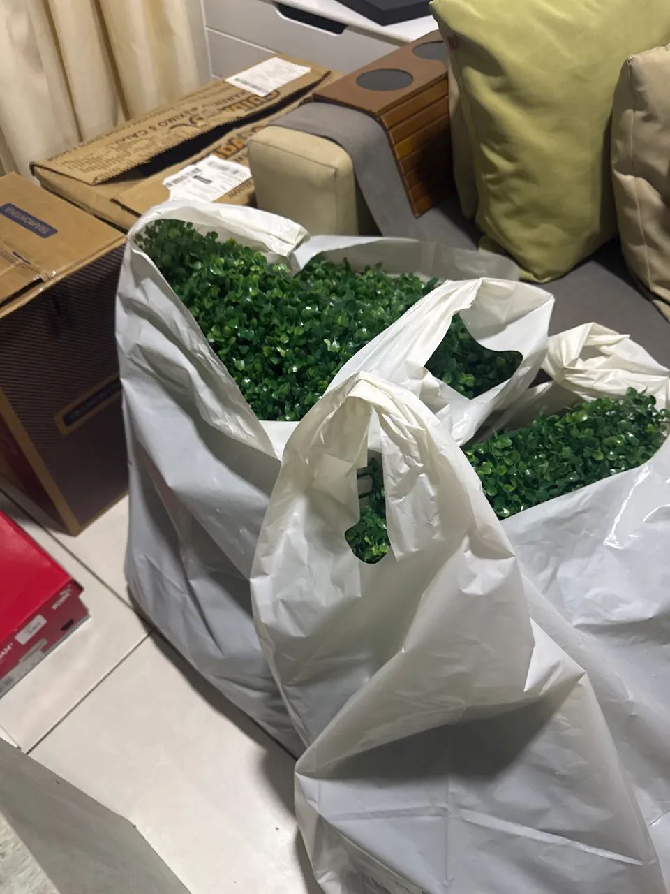 Placas de Planta Decoração  - Foto 2