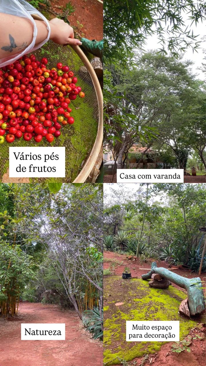 CHÁCARA COM VALOR MENOR QUE O VALOR DE MERCADO!