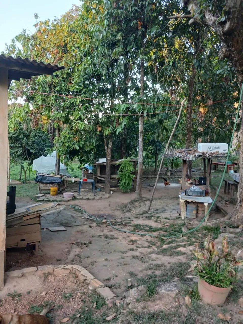 Chácara a venda  - Foto 4