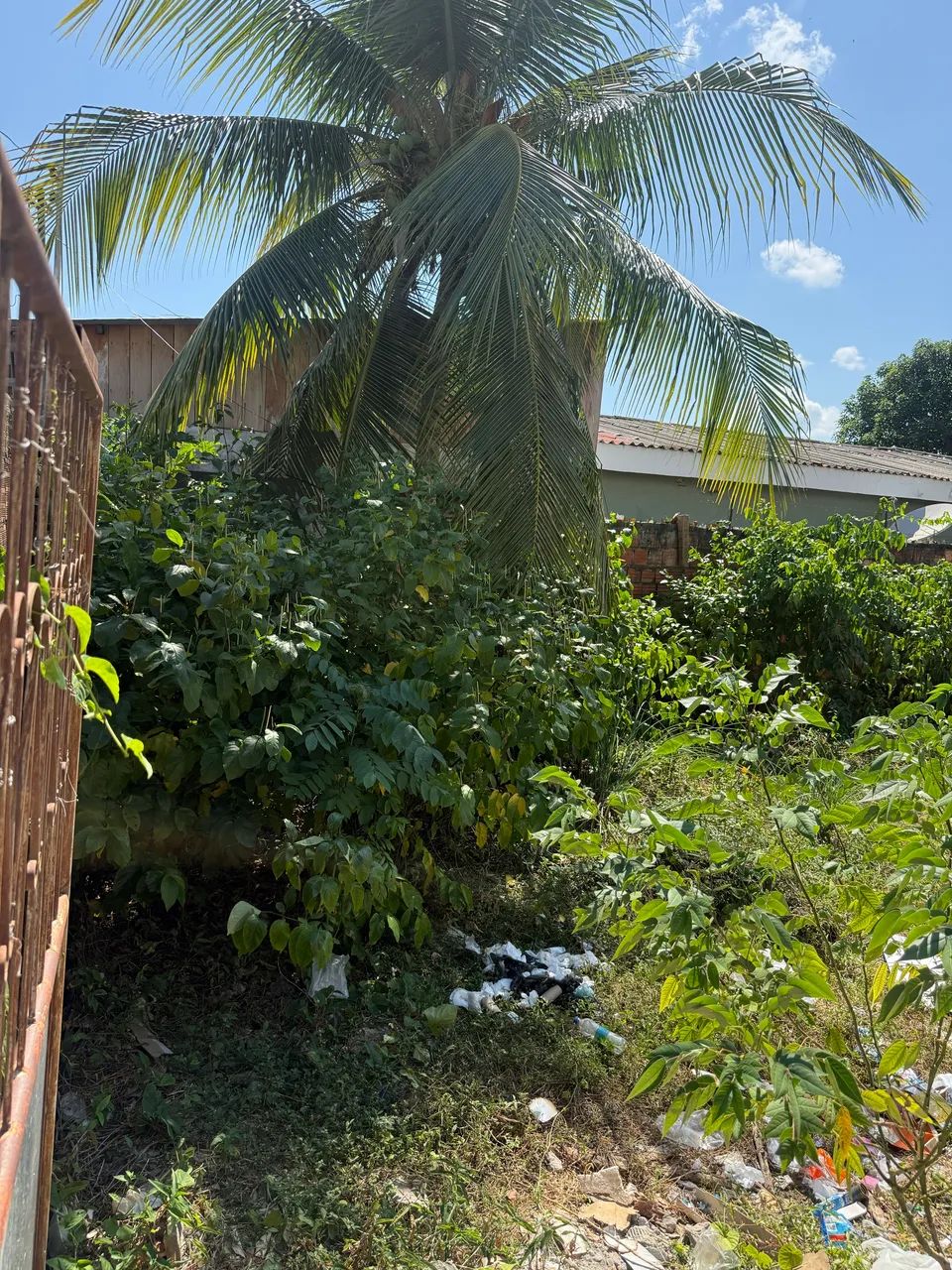 Vende-se Terreno em Manacapuru - Foto 4