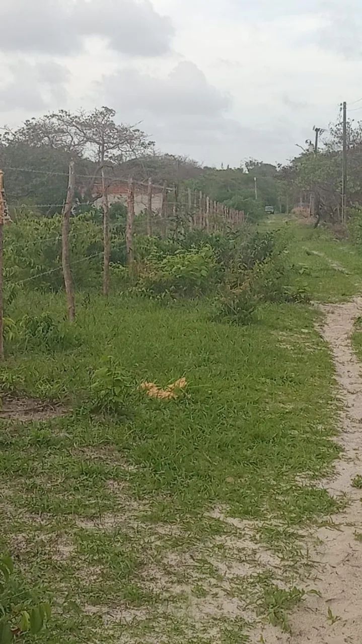 Venda de terreno 