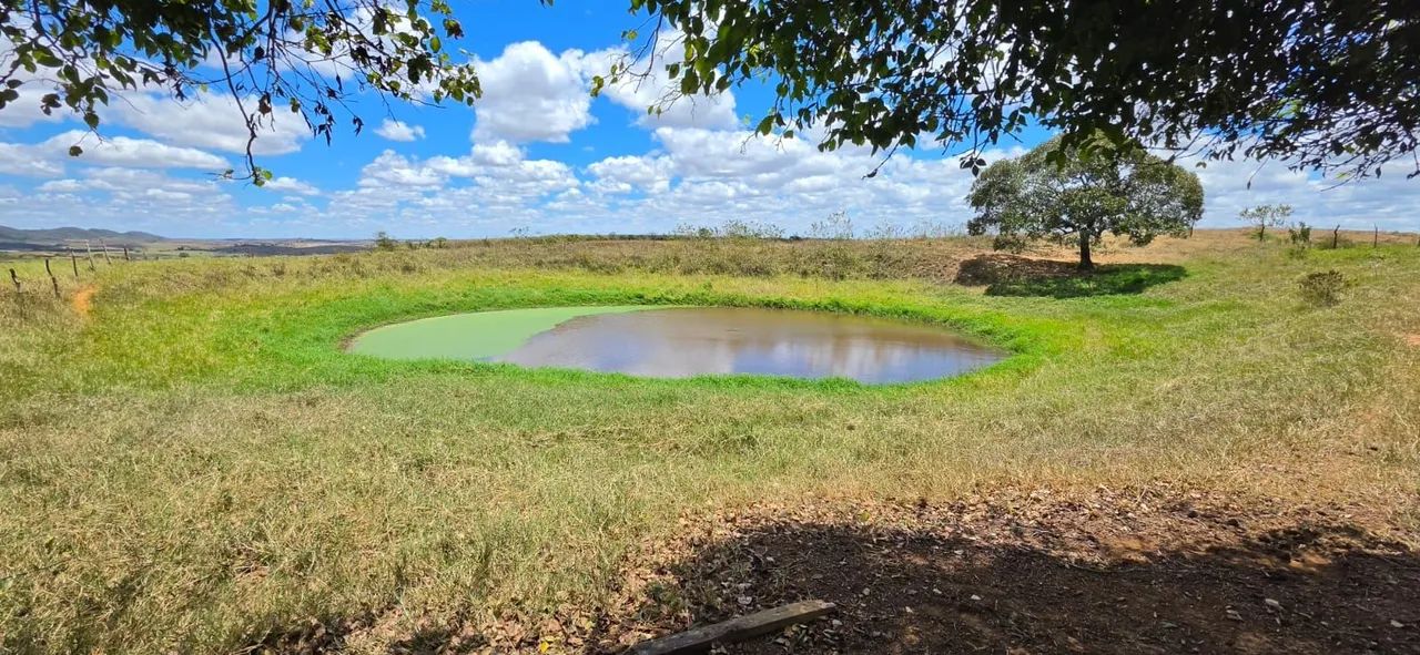 FAZENDA EM SÃO MIGUEL DO ALEIXO - Foto 5