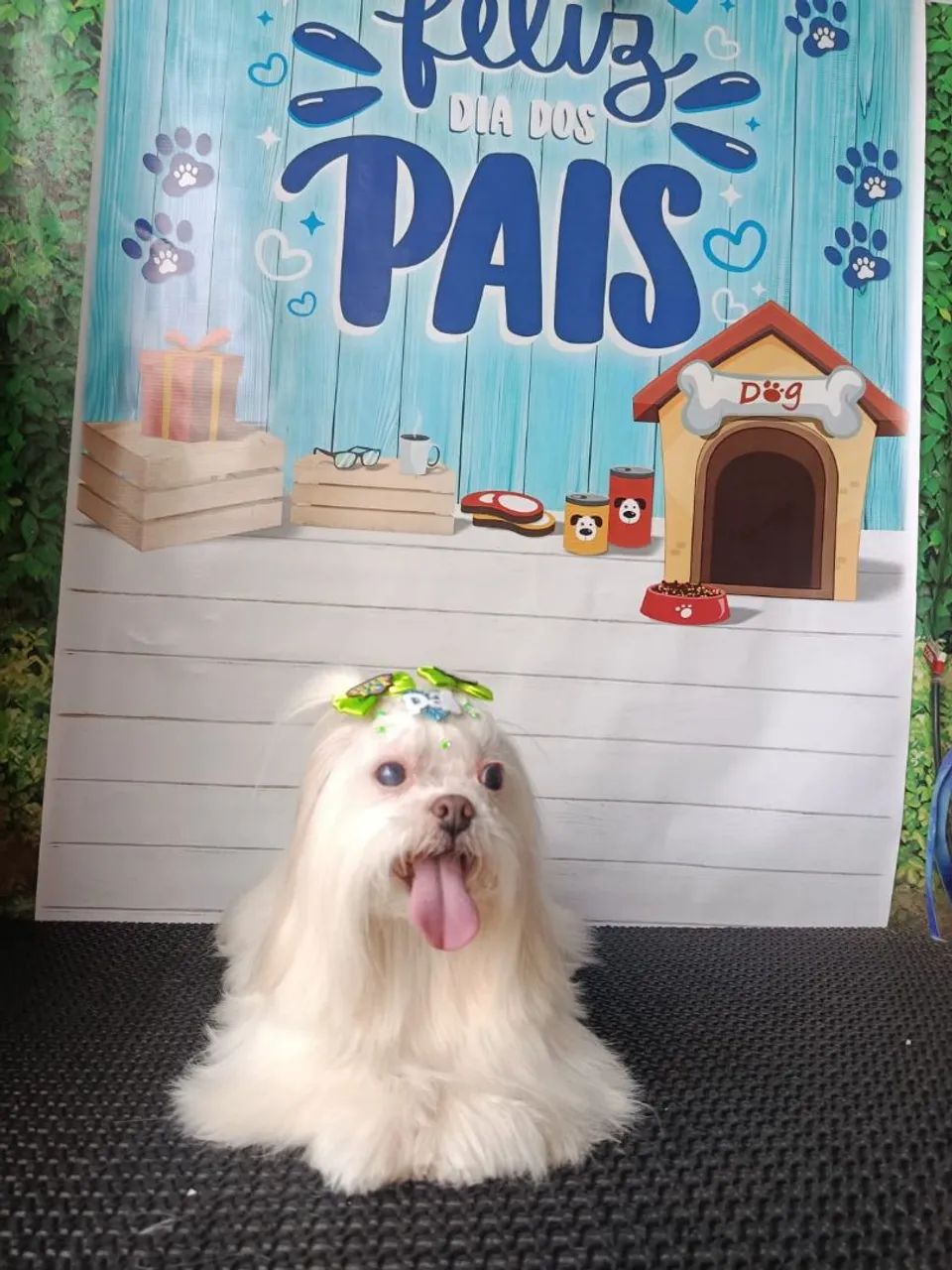 Banho a partir 50,00  - Foto 4