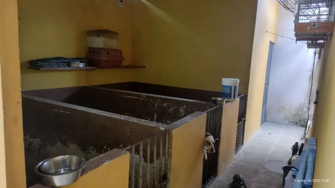casa espaçosa, com jardim, canil, espaço gourmet e muito mas. - Foto 4