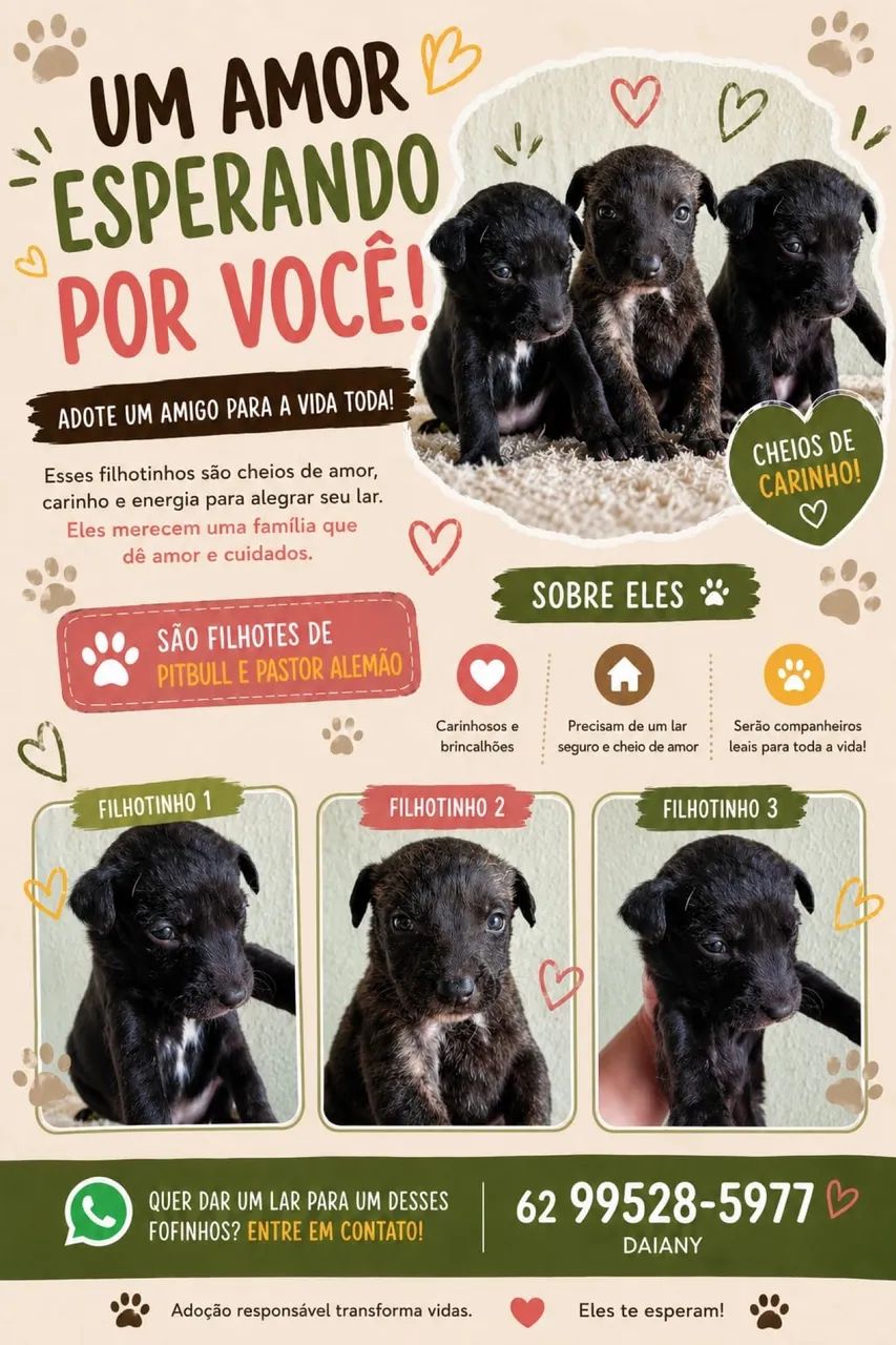 Adoção 