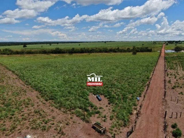 Fazenda 106 alqueires (513 hectares) Nova Crixás -GO - Foto 4