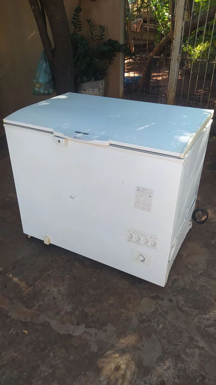 Freezer Electrolux 