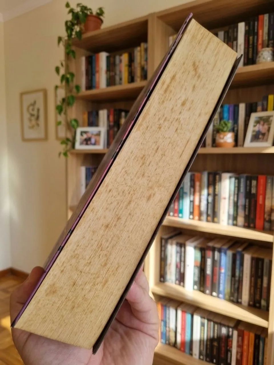 Livro Corte de Névoa e Fúria (Volume 2) - Foto 3