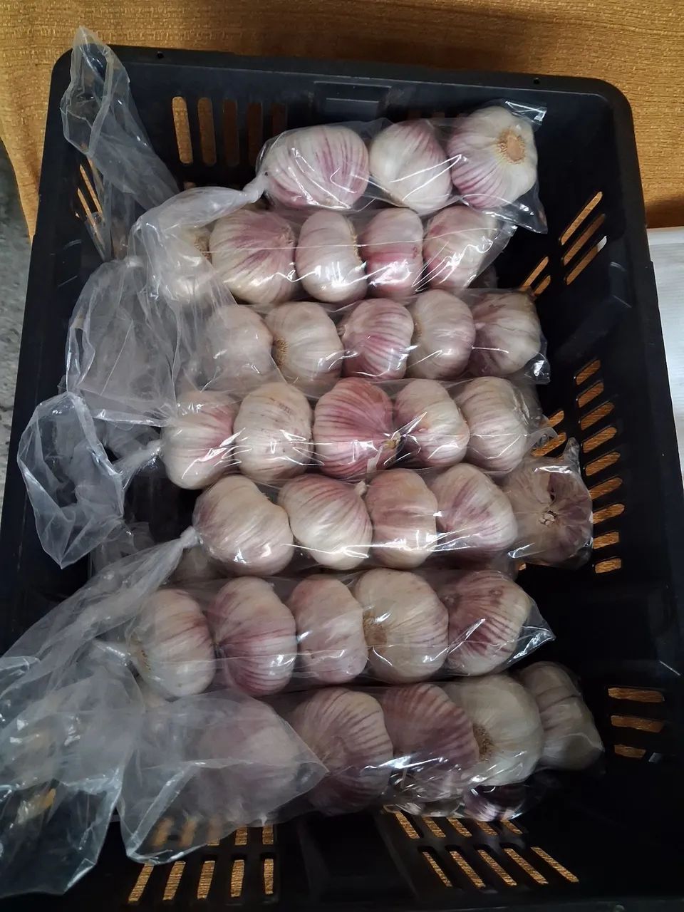 Vendo 130 cabeças de alho ( tipo 6 extra ) 