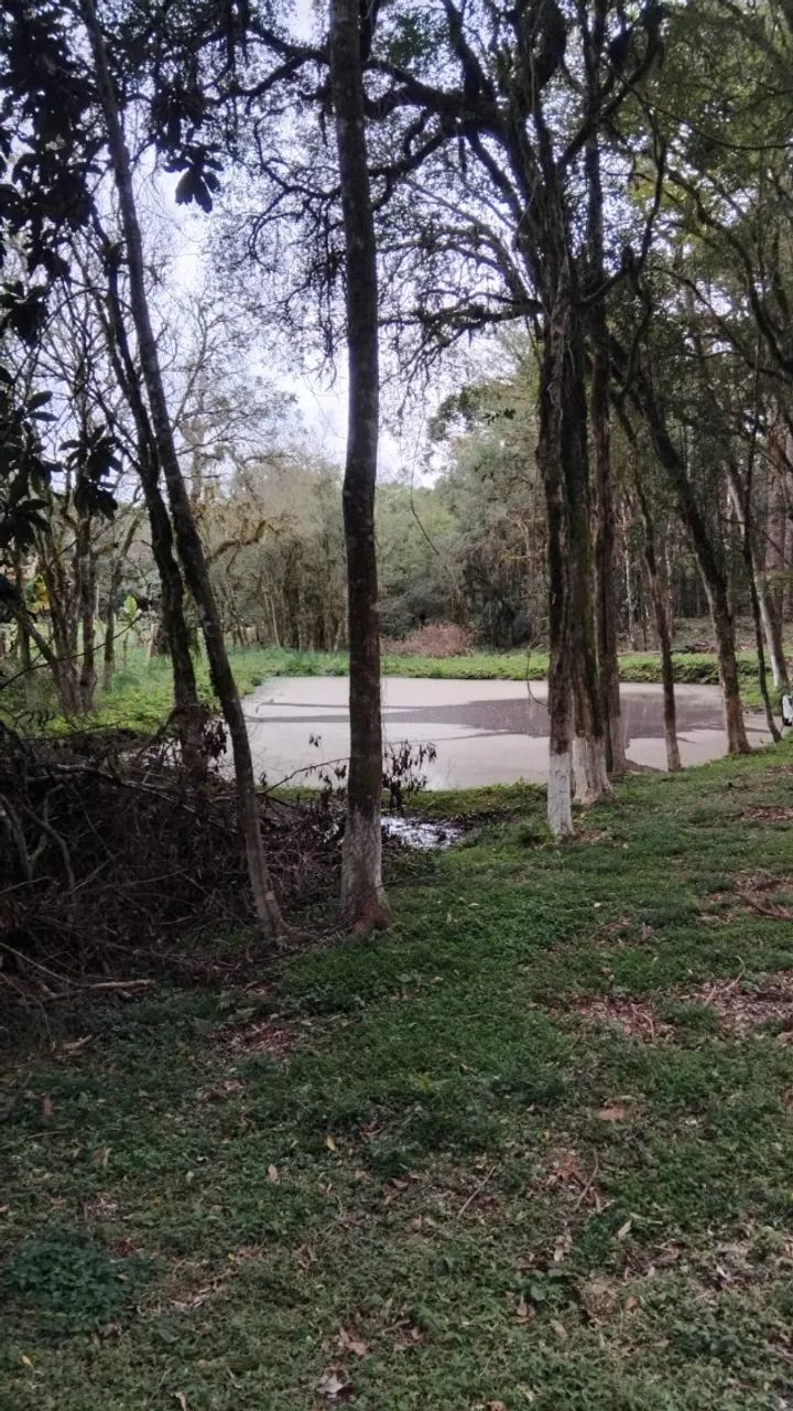 Chácara  dos sonhos em Contenda Pr - Foto 5