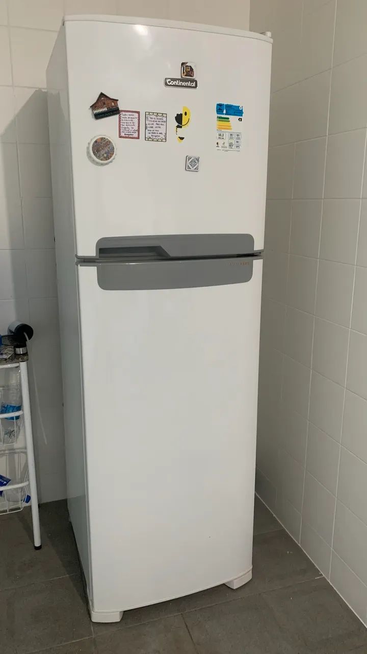 Geladeira voltagem 220v 