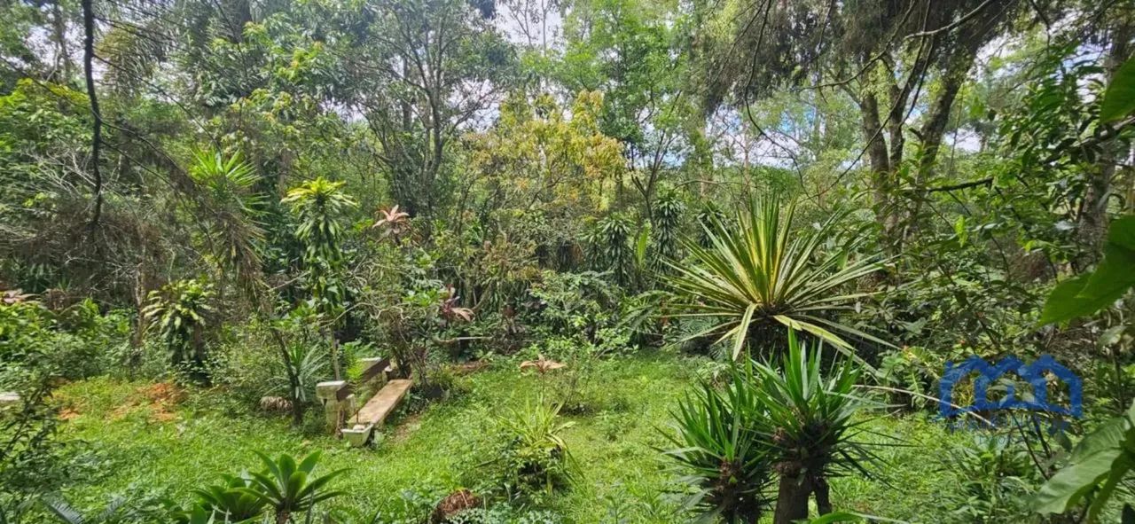 CHACARA RURAL em MAIRINQUE - SP, Dona Catarina - Foto 4