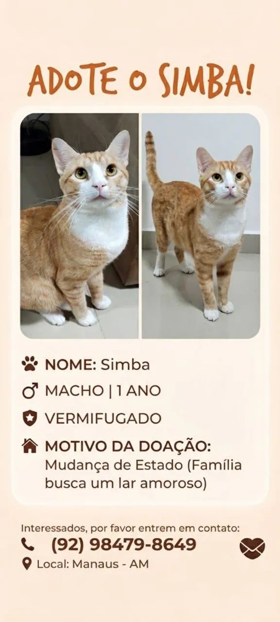 Adote o Simba  - Foto 3