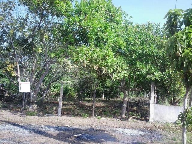 Terreno no Goiabal