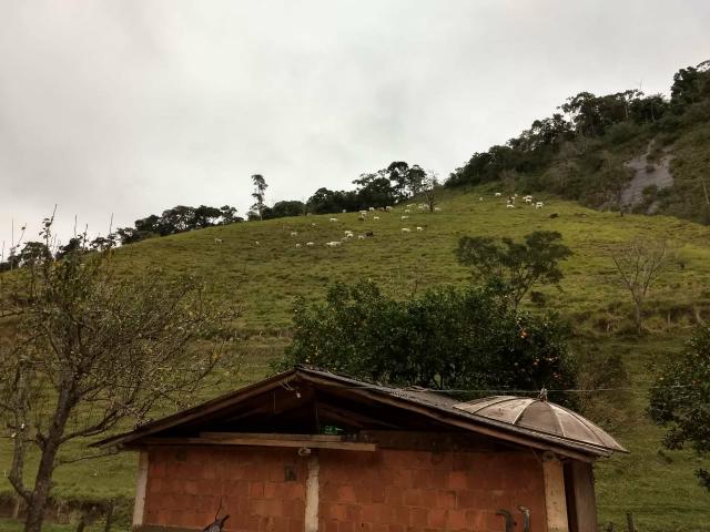 Fazenda Bom Jardim - Foto 19