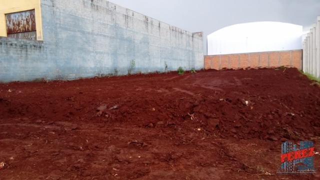 Terreno para alugar em Pq. ind. buena vista, Londrina cod:13650.5239 - Foto 3