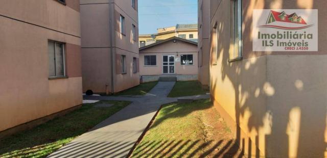 Apartamento com 2 dormitórios à venda por r$ 139.000 - sítio cercado - curitiba/pr - Foto 5