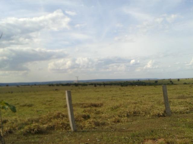 11.500 Hectares, Pecuária, 4800 há pastagens, estruturada, Mato Grosso. - Foto 9